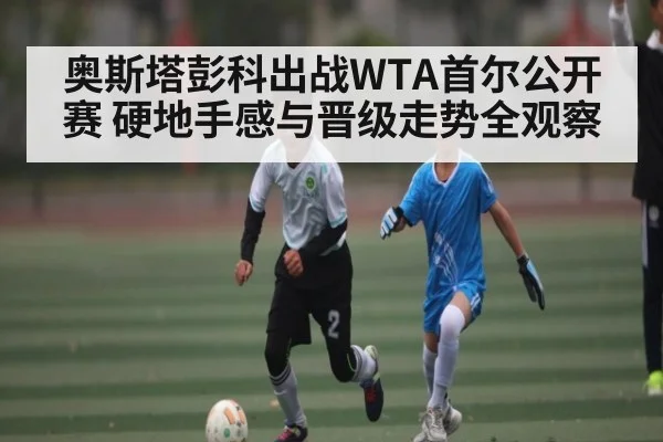 奥斯塔彭科出战WTA首尔公开赛 硬地手感与晋级走势全观察